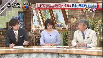 14 06 19 EX MB.　理研　小保方　STAP細胞　マウス　反論　