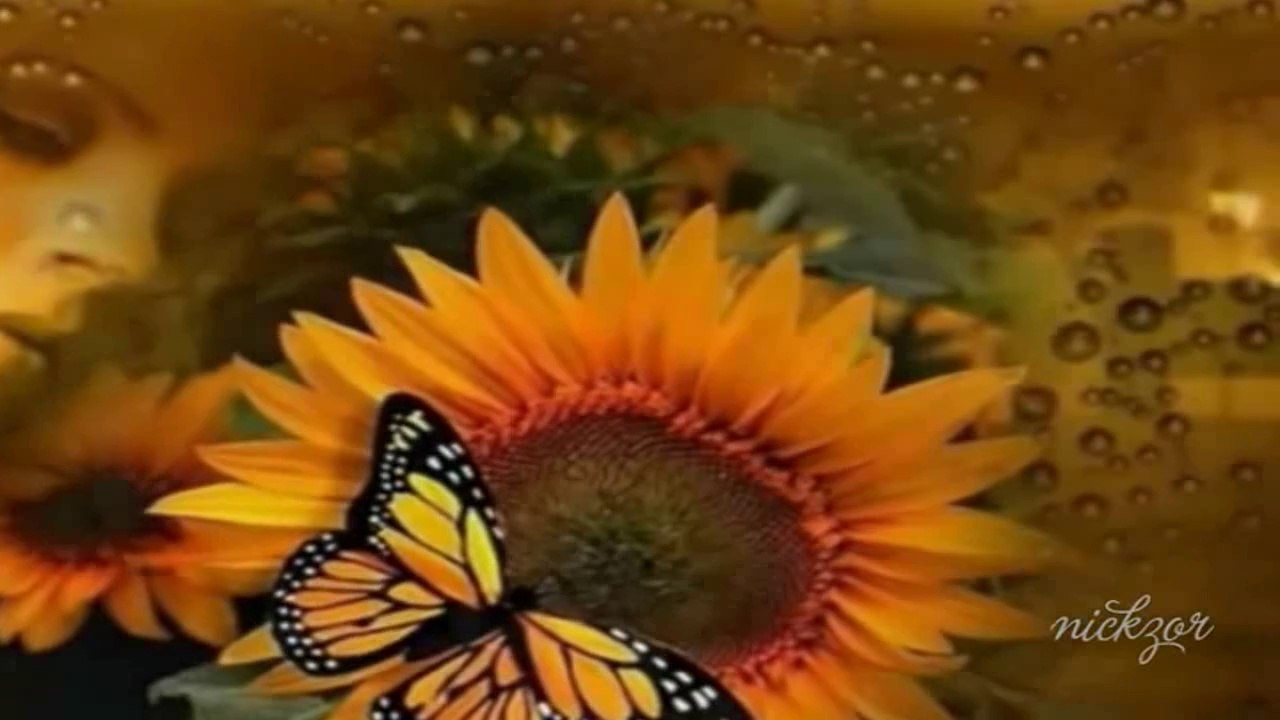 Fettah Can - Boş Bardak