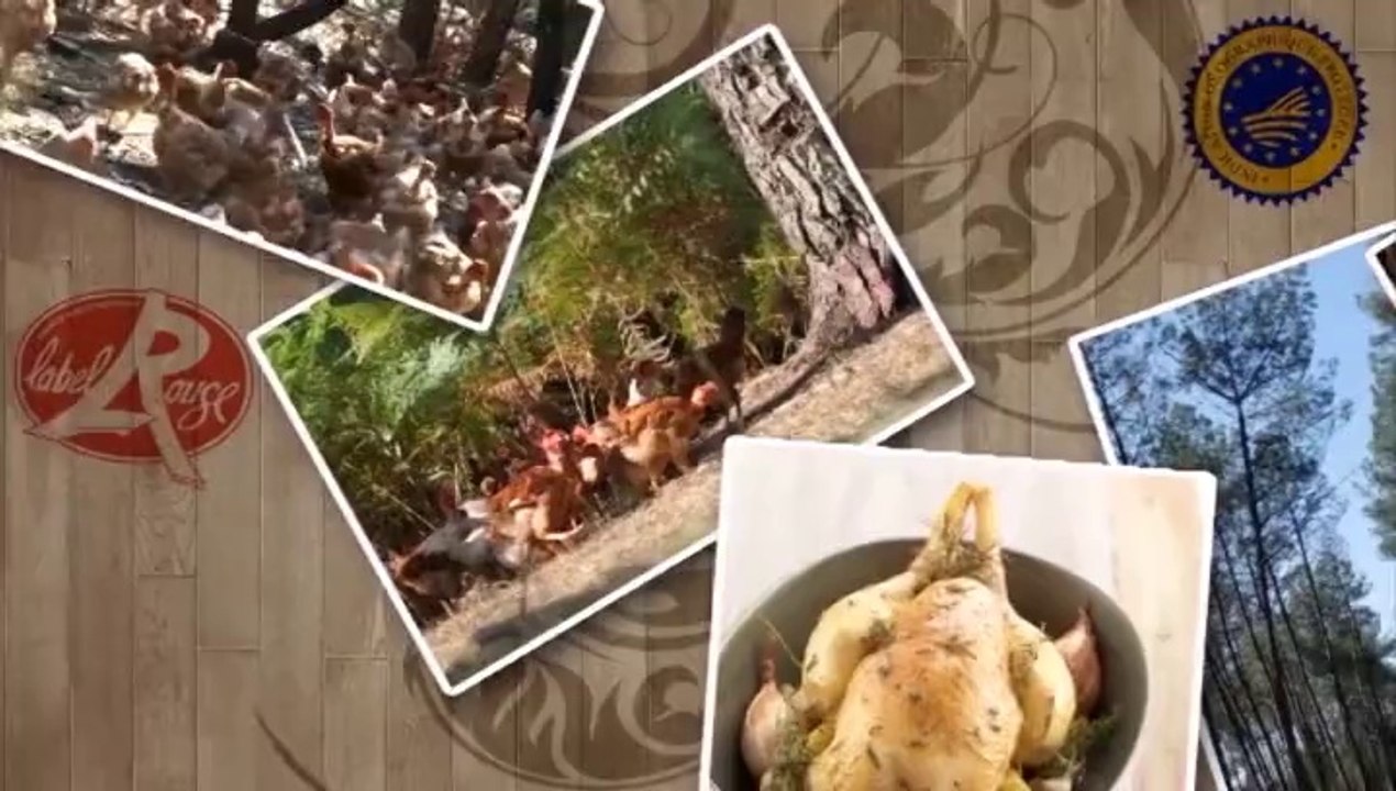 Poulet Fermier des Landes