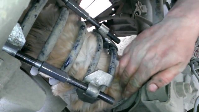 Petit chat coincé dans un amortisseur de voiture!