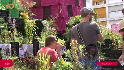 SUJET - Des cagettes en folie, au coeur de la cité