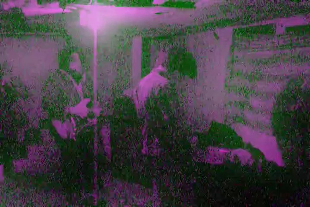 Ballbag (LIVE at the SWAMP) November 21, 2008