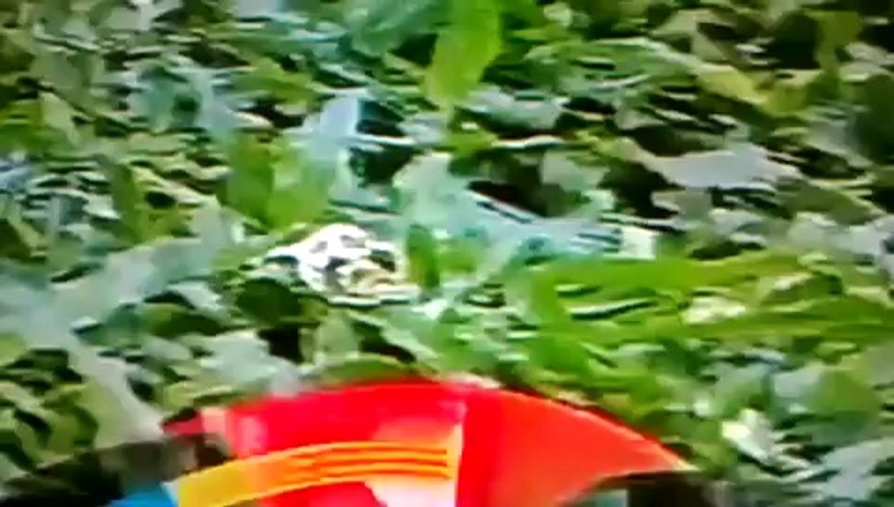 Sunjay Dutt with Vidia Ballan Video
