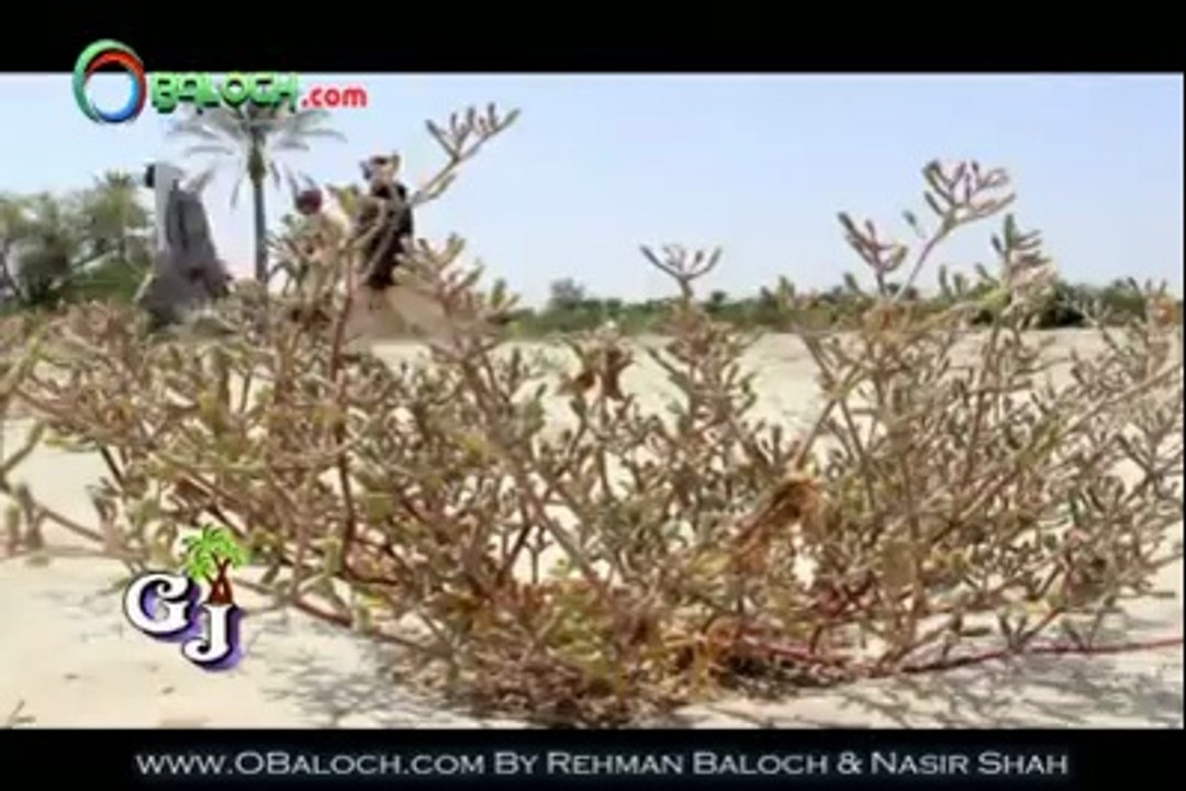 Song: Doh Range Dunya e  Singer: Wahab Baloch  Album: Maye Bazar (Movie Song) Realse By: GJ Production