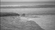Plage du débarquement de Normandie 1944 Omaha Beach Utah Beach Sword Beach