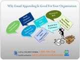 Best Email Appending Services