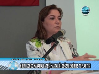 KIRIM KONGO KANAMLI ATEŞİ HASTALIĞI DEĞERLENDİRME TOP_m2p_Output_5