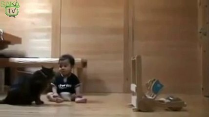 Entellektüel 2 Ayak Üzerinde Gezen Kedi