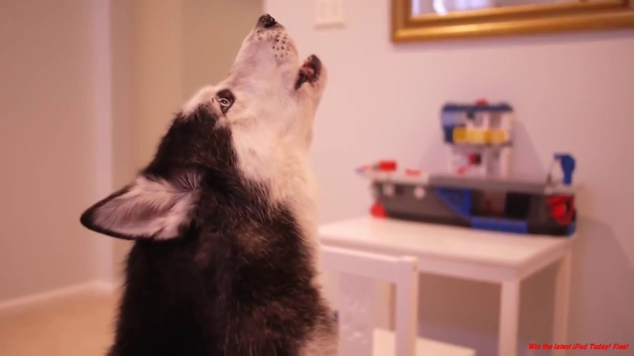 Mishka Sings with iPad 2 - Better than Rebecca Black! now on iTunes!