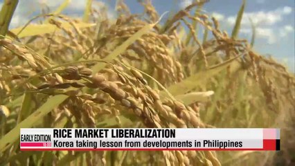Korea leaning toward opening up rice market