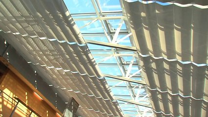 Eric+Perrin+Peltier-SD