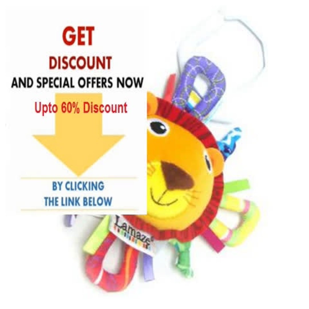 Discount Mini Play And Grow Logan And Lion By Lamaze Review