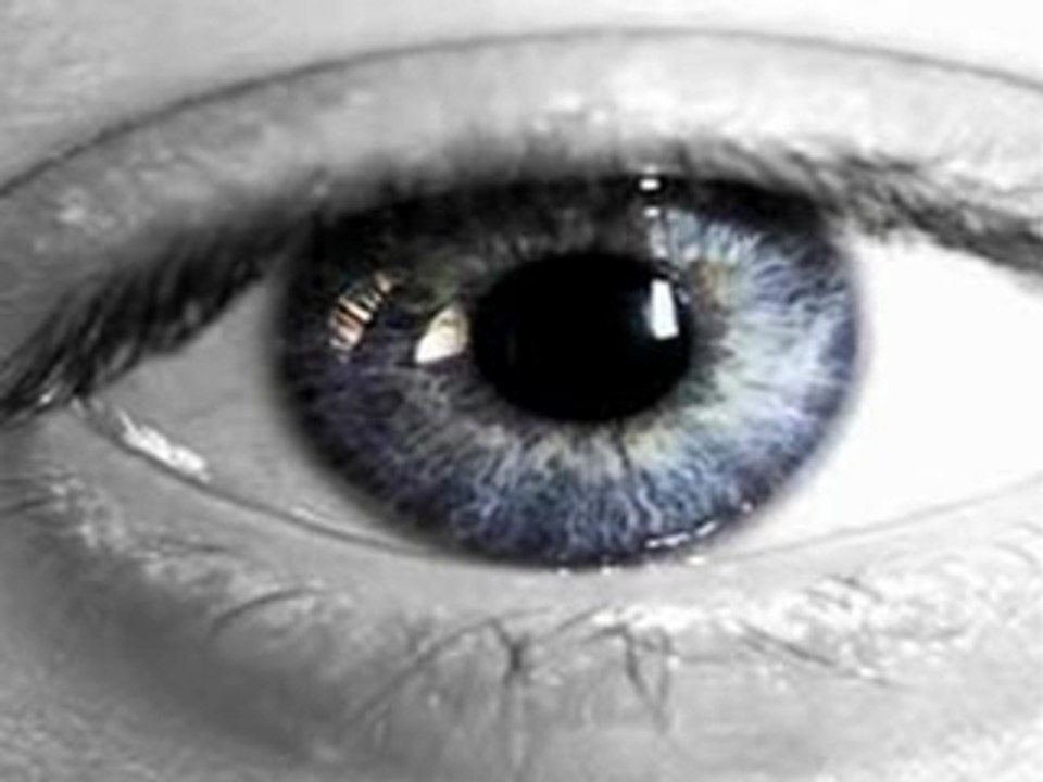 Le regard l'oeil