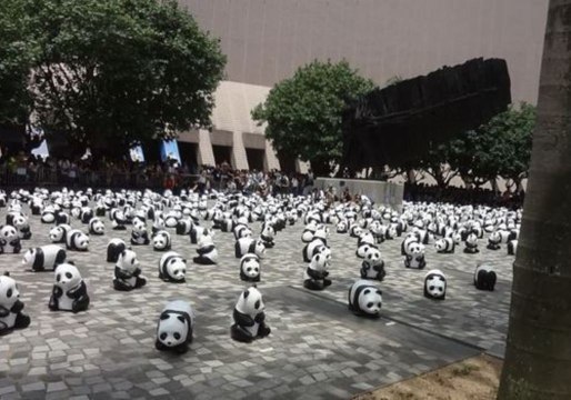 Pandas Descend on Hong Kong