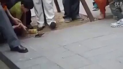 ‫عجائب وغرائب الدنيا‬ how to begging by birds interesting.