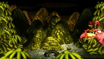 Donkey Kong Country - Mines des Macaques : Noix de Necky