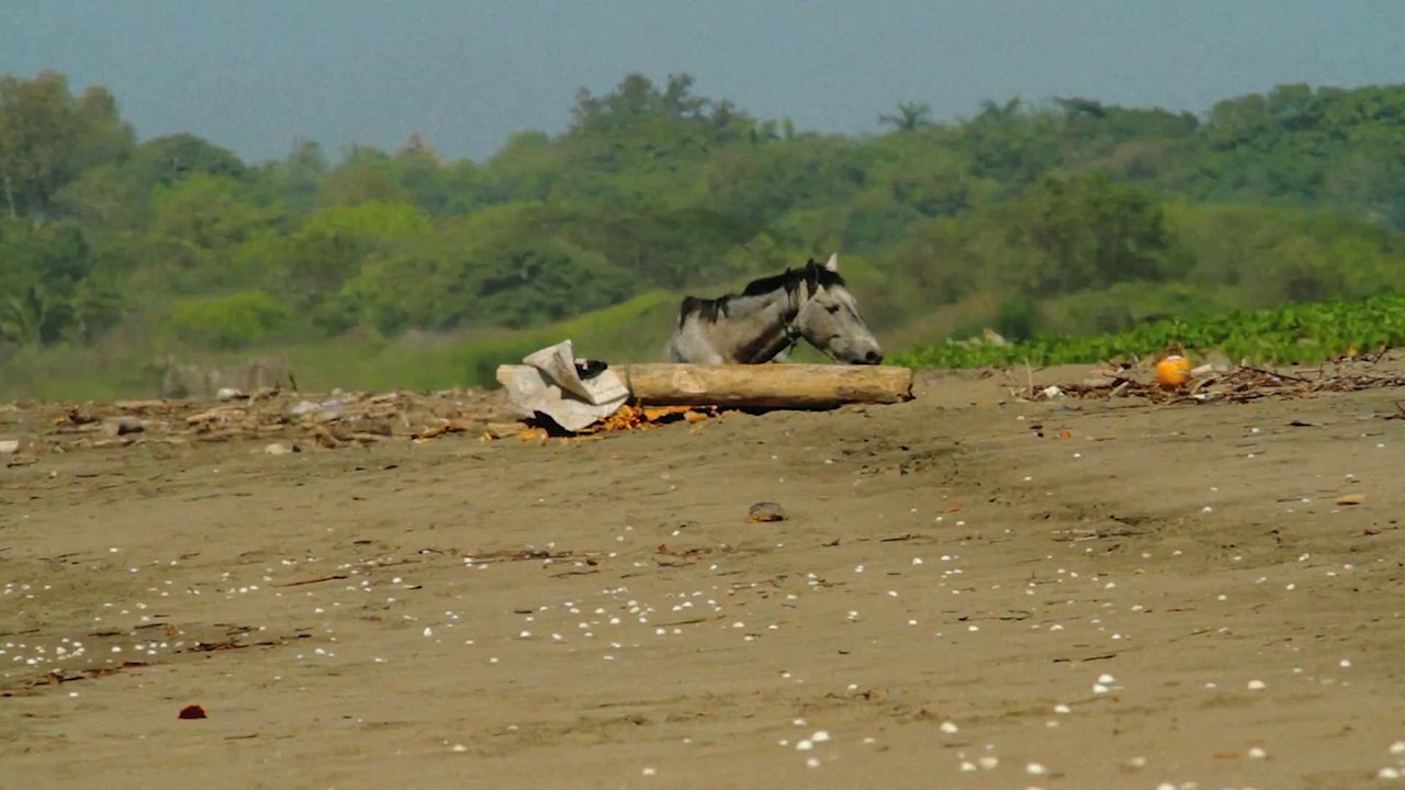 A Few Lost Days On Triangle Beach