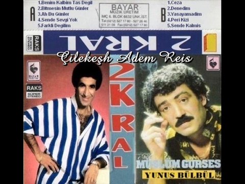Yunus Bülbül - Peri Kızı