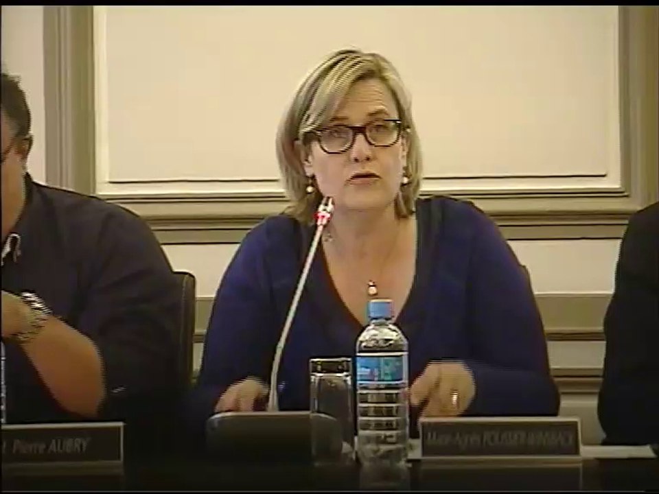 Conseil Municipal du 20 juin 2014