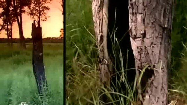 1 фильм. «Инопланетяне в Ростове-на-Дону» [ 15.01.2011 ]