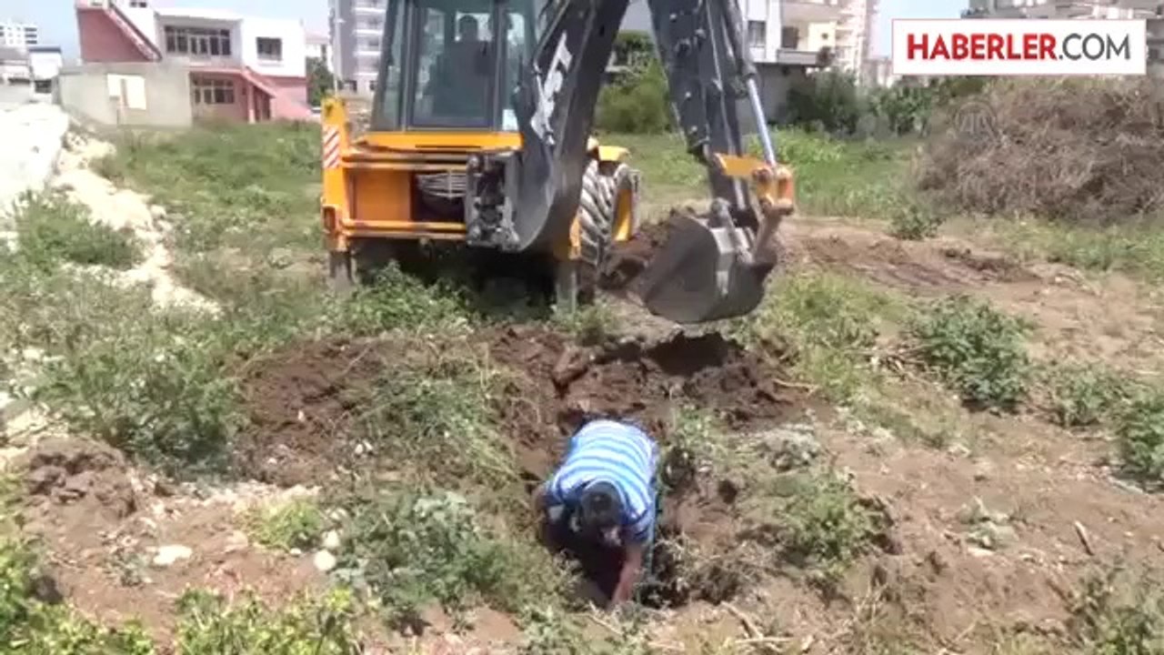 Hayvanseverlerden tepki -