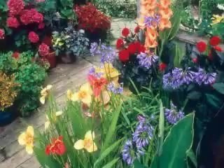 send lovely valentine's flowers to all areas of japan