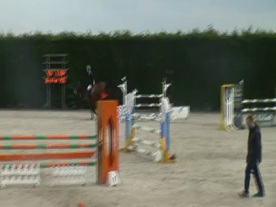 Hongre 9ans Ogano Sitte / Sancourt 120