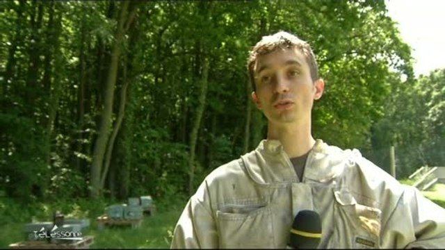 Multiplication des abeilles : Interview de Julien Perrin