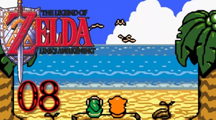 German Let's Play: The Legend of Zelda - Link's Awakening, Part 8, "Paketbote nervt bei der Aufnahme"