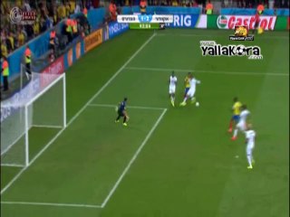 هدف ملغص ومهاره