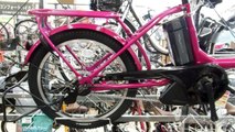 Battery Powered Bicycle in Japan