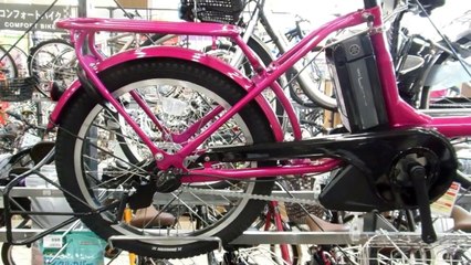 Battery Powered Bicycle in Japan