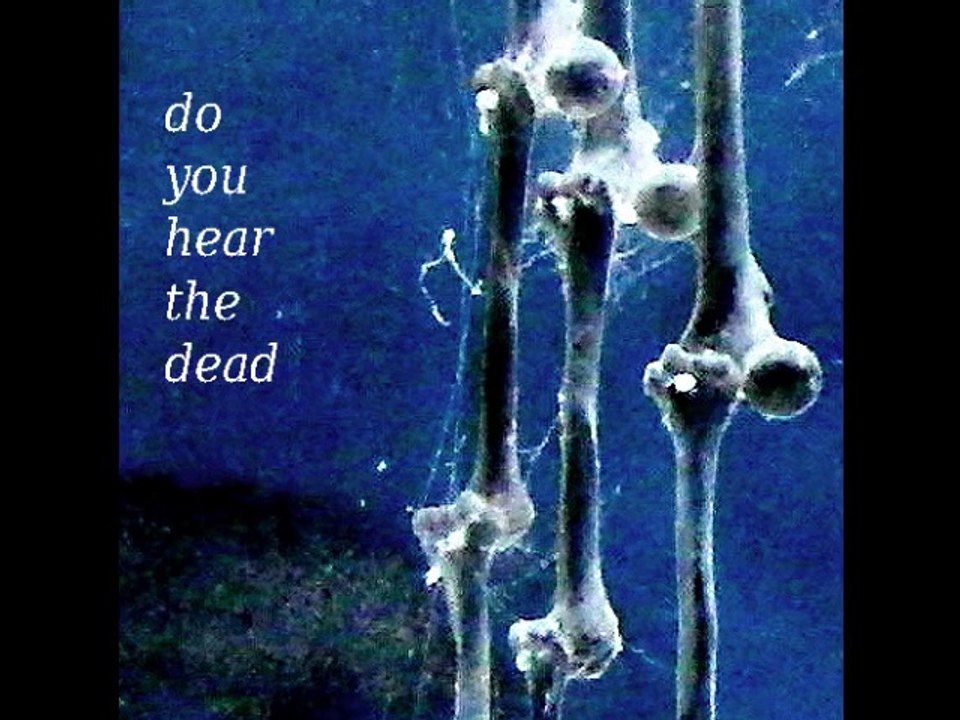 Allerseelen : Wo ist das Leben