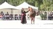 Arabian horse dance