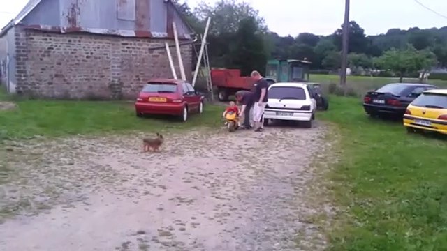 First Drive On pocket bike fail - Fails World