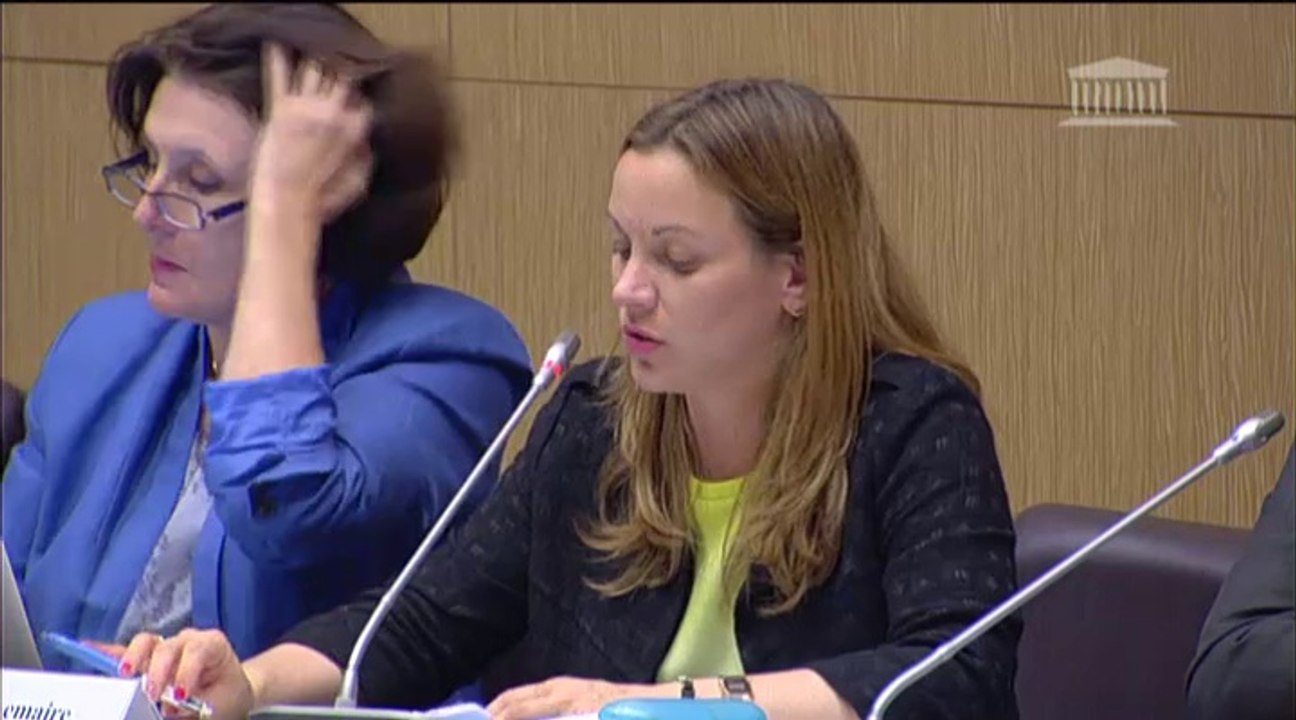 Audition publique sur la sécurité des réseaux numériques : cadre juridique, risques, aspects sociétaux - Jeudi 19 Juin 2014