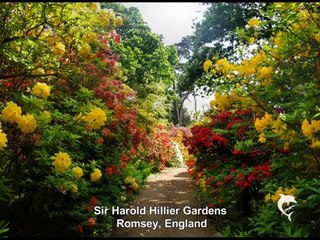 100 Most beautiful gardens in the world