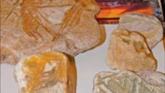 Les extraterrestres ont sauvé la Terre selon un Scientifique Russe