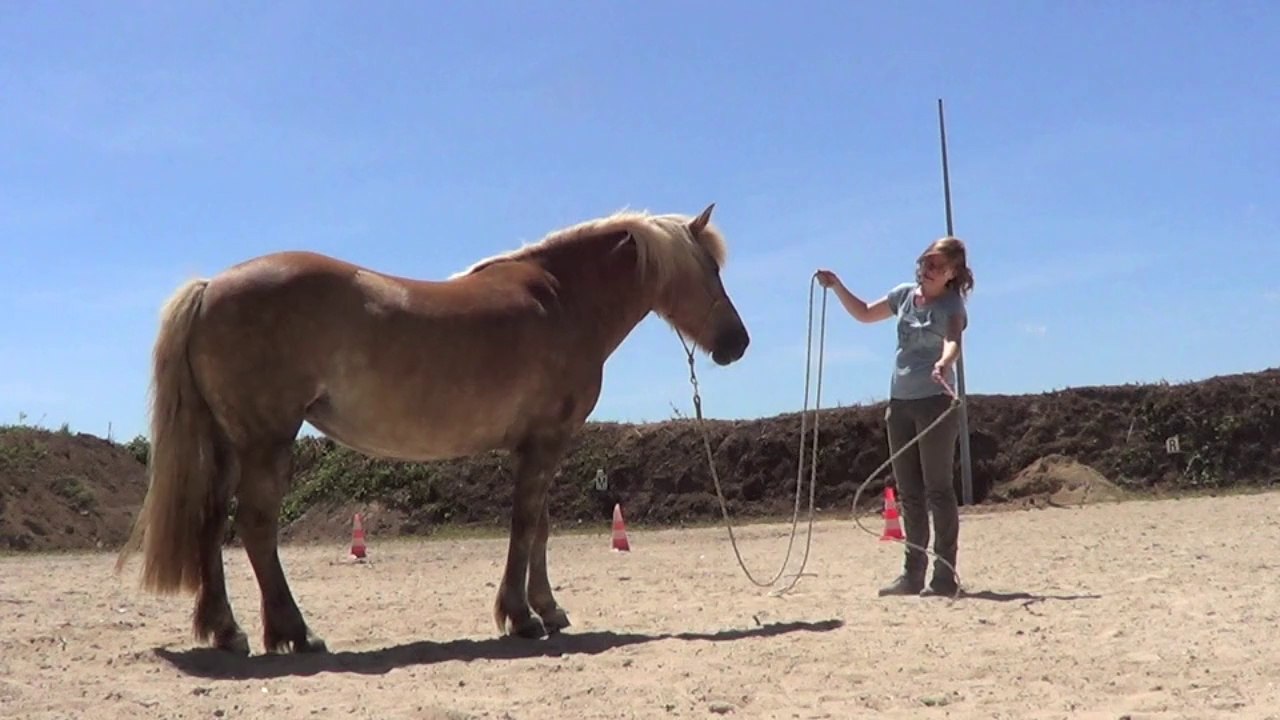 Kandie Juin 2014