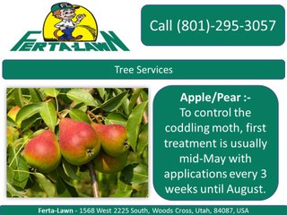 Ferta Lawn Service in Woods Cross