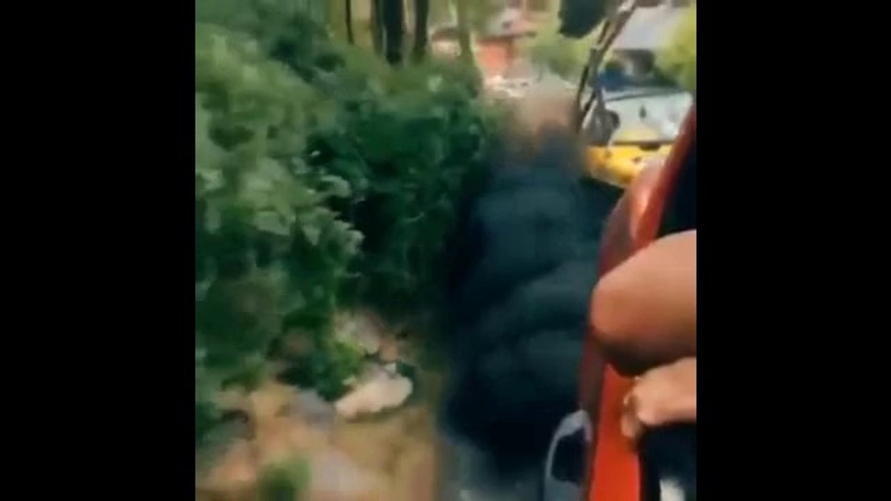 Do You Smoke version 2!! LOL!!