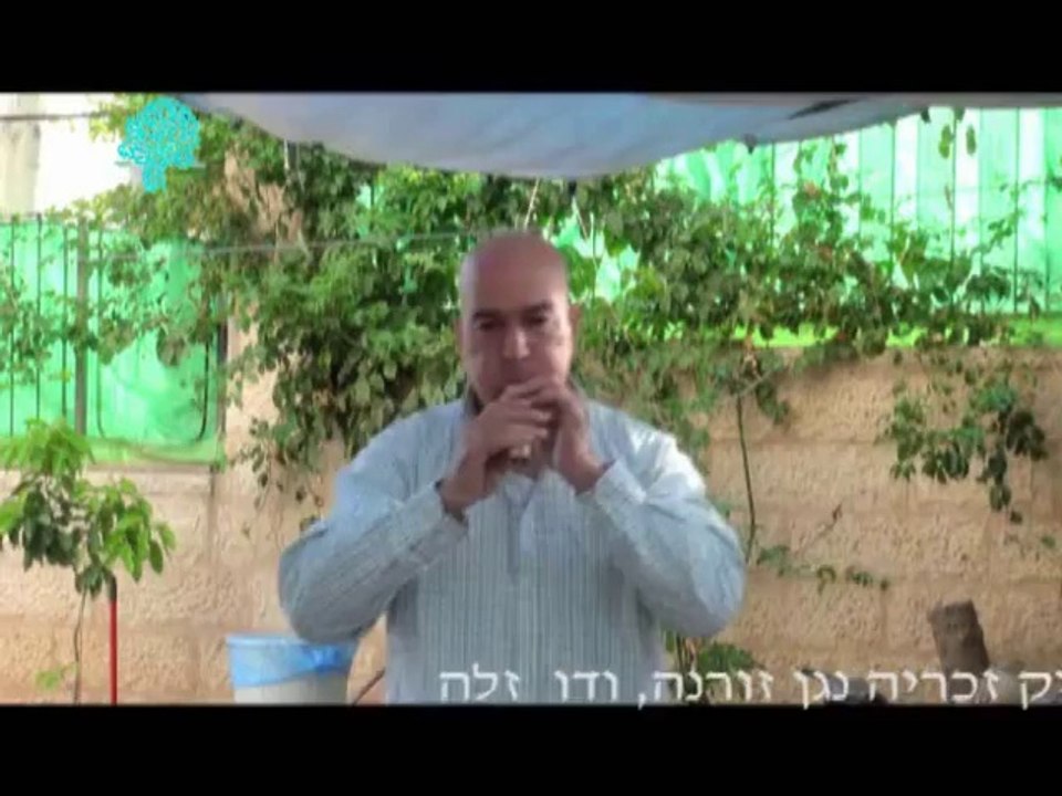 תוכנית טלויזיה קהילתית מס, 4 , TV Program