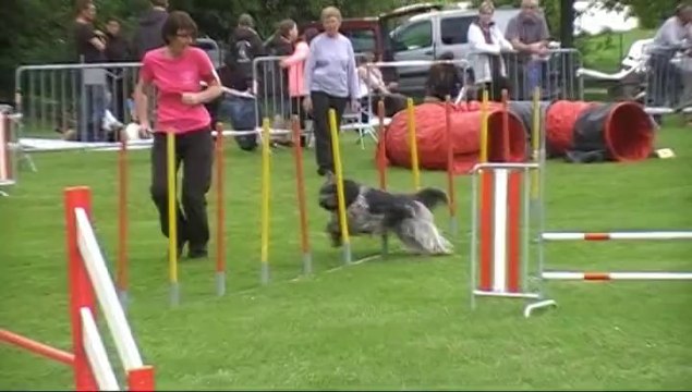 Colchique-St Doulchard-Jumping + 25 mai 2014