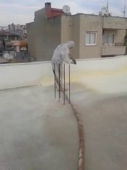 KÜTAHYA SPREY POLİÜRETAN KÖPÜK 05313564744