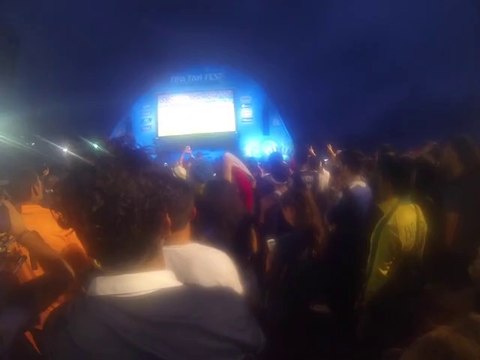 Coupe du Monde de football au Bresil; Les petits Suisses ont les a mange...