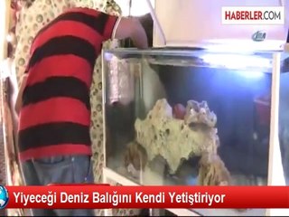 Yiyeceği Deniz Balığını Kendi Yetiştiriyor