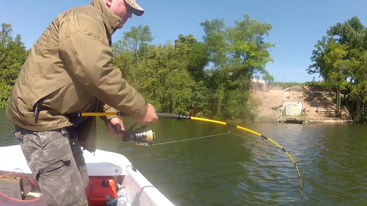 Paul Wood in action with a catfish on the Tarn river !!!