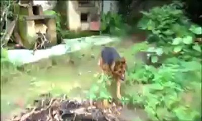 Globo Reporter Cães 3