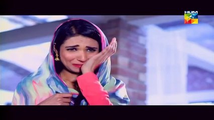 Janam Jali Episode 2 HUM TV Drama