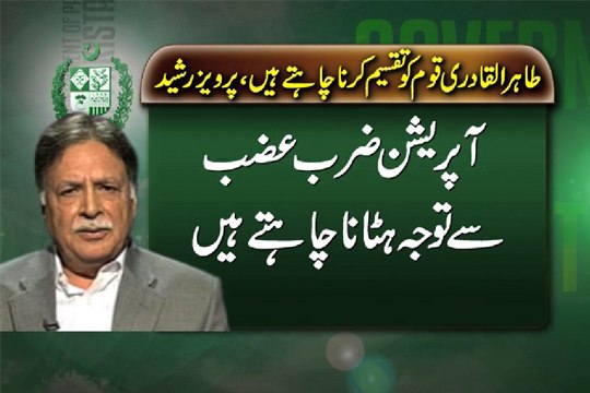 Dunya News - Qadri conspiring against Zarb-e-Azb, constitution, democracy: Pervaiz Rasheed